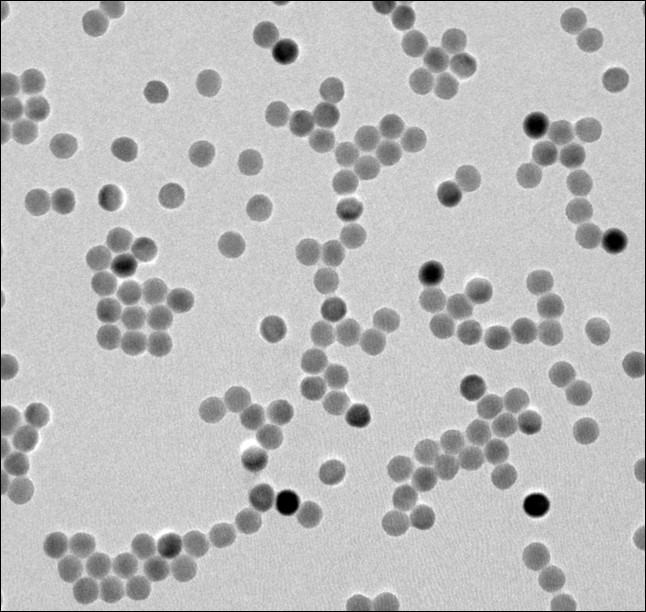 Transmission electron microscopy image of rare-earth nanoparticles.