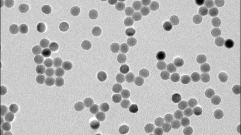 Transmission electron microscopy image of rare-earth nanoparticles.
